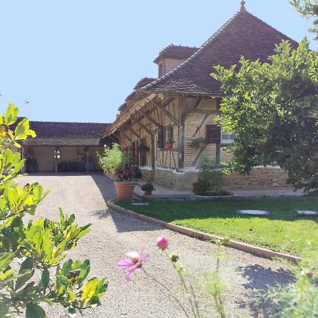 La Ferme De La Terve Bed & Breakfast Bruailles Eksteriør bilde