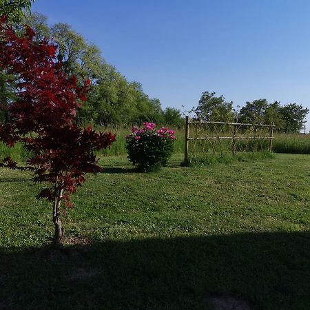 La Ferme De La Terve Bed & Breakfast Bruailles Eksteriør bilde
