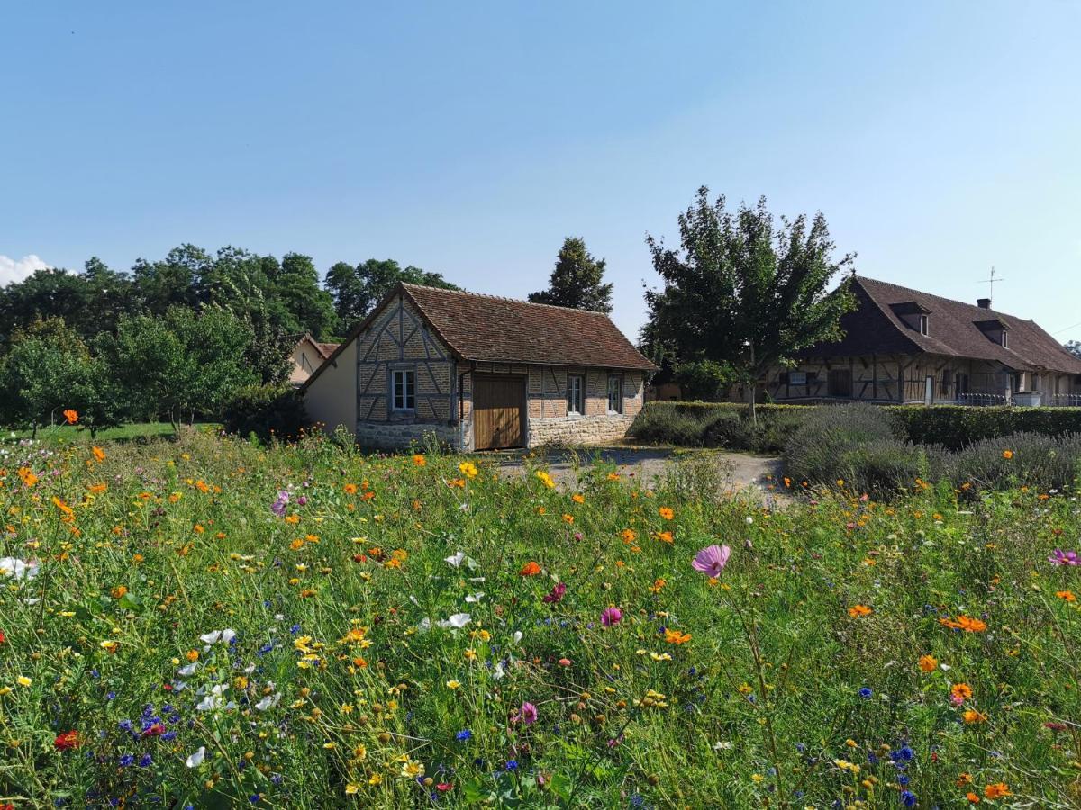 La Ferme De La Terve Bed & Breakfast Bruailles Eksteriør bilde